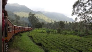 スリランカヌワラエリヤ高原列車と紅茶畑
