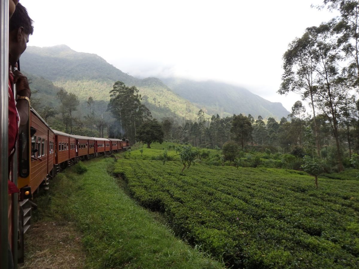 【絶景】高原列車で紅茶畑を走り抜ける！【スリランカ旅行記4日目② キャンディ→ヌワラ・エリヤ】｜Take a break